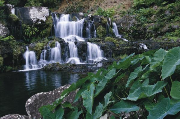 Rochester Falls